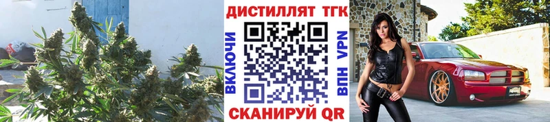 Дистиллят ТГК Wax  Тулун 